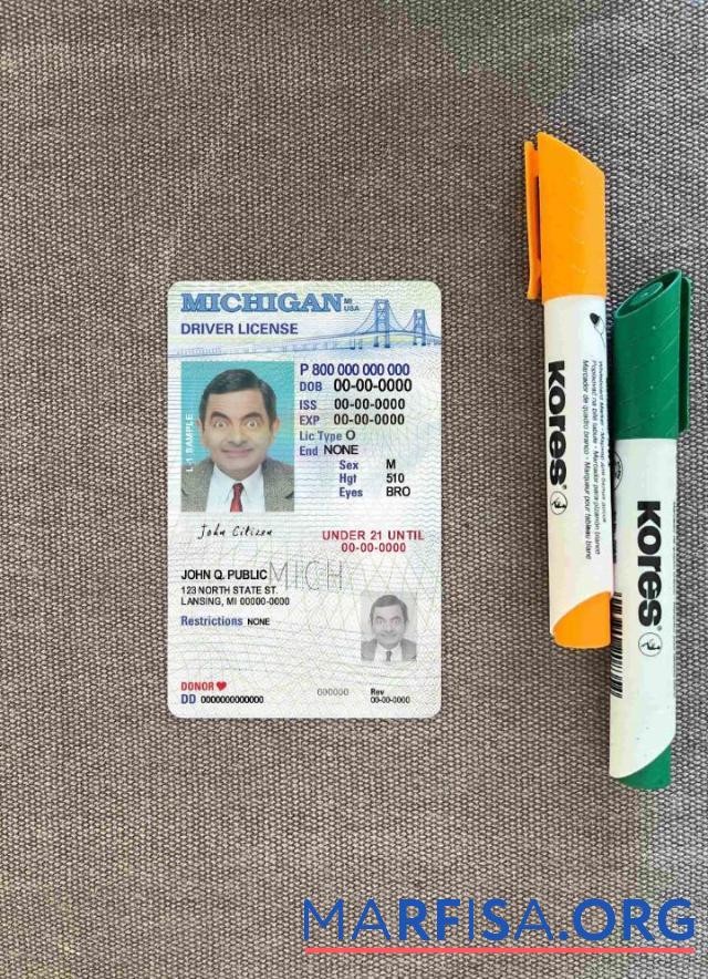 Downloadable USA Michigan driving license under 21 photolook template